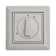 Motion detector switch